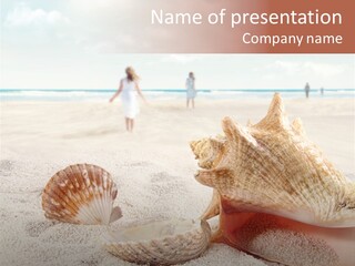 Beach Seashell Tropical PowerPoint Template