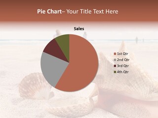 Beach Seashell Tropical PowerPoint Template