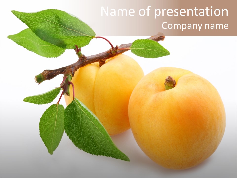 Apricot Group Vegetarian PowerPoint Template