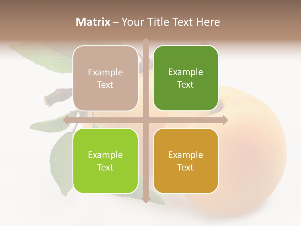 Apricot Group Vegetarian PowerPoint Template