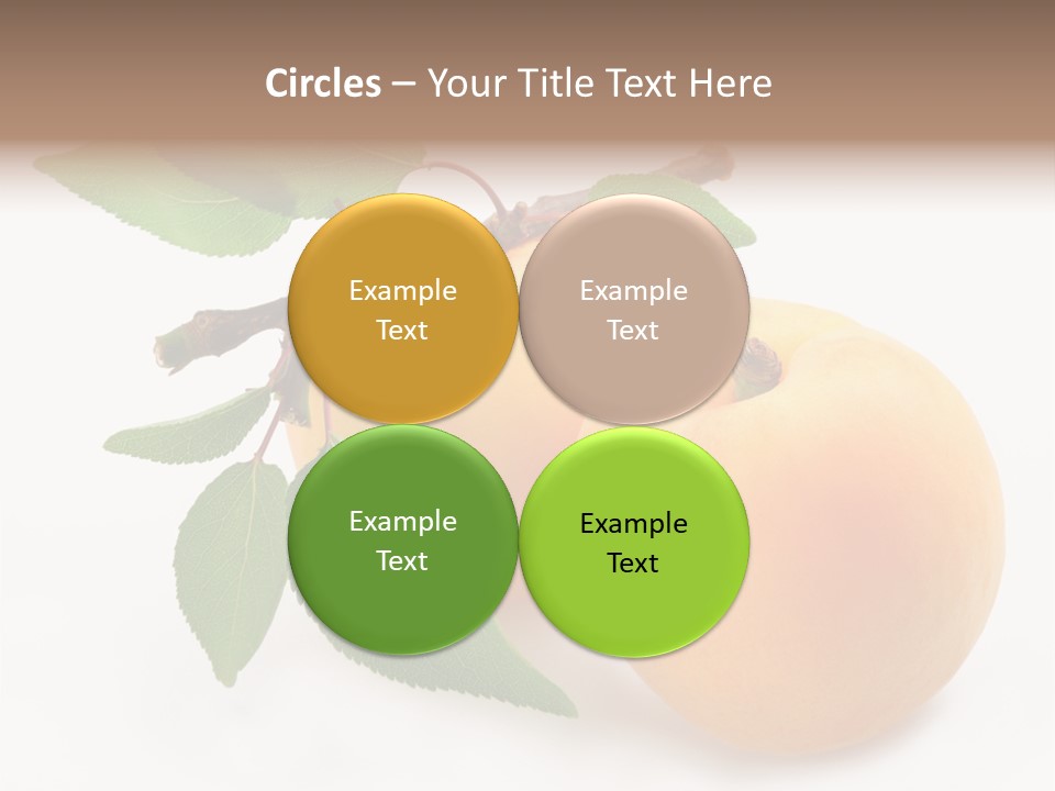 Apricot Group Vegetarian PowerPoint Template