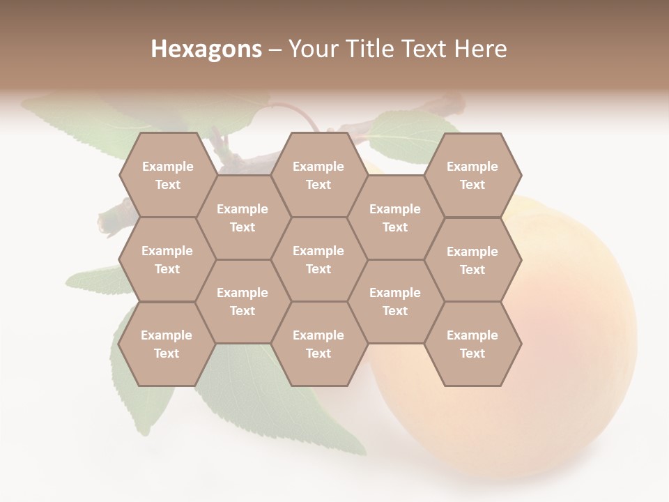 Apricot Group Vegetarian PowerPoint Template