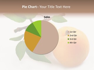 Apricot Group Vegetarian PowerPoint Template