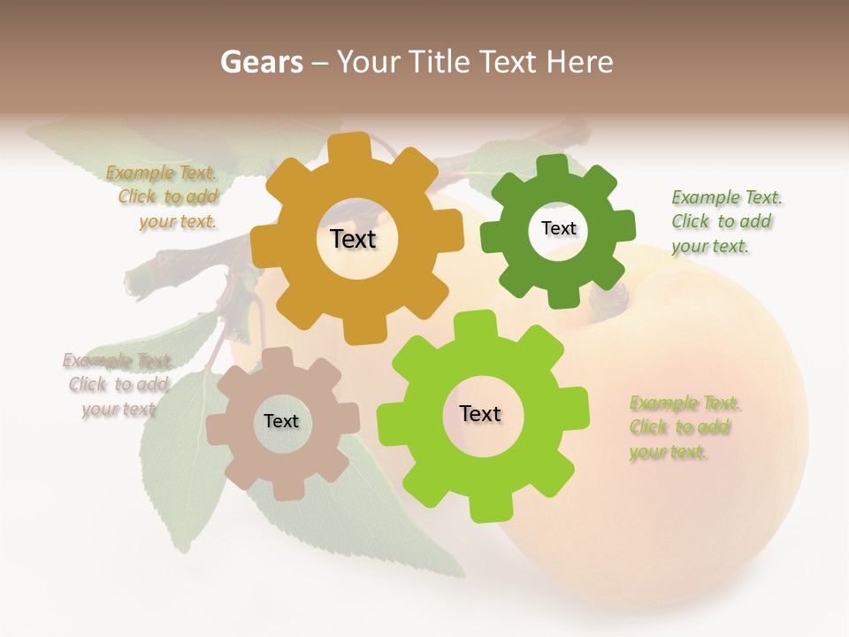 Apricot Group Vegetarian PowerPoint Template