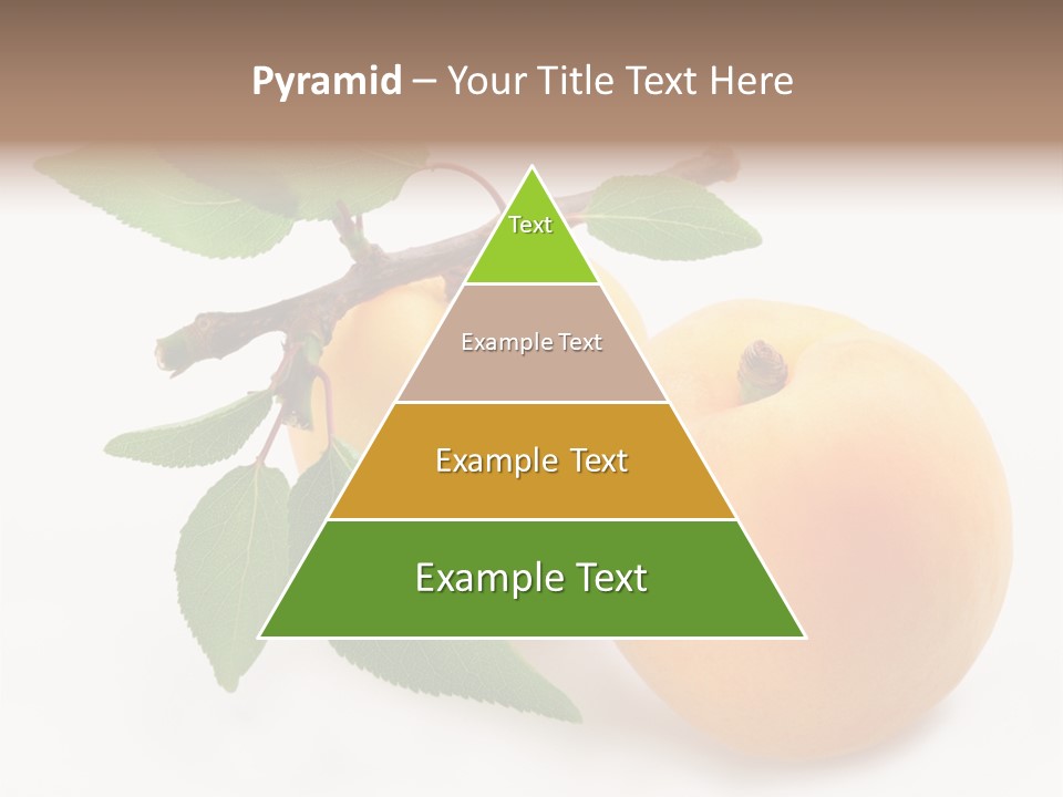 Apricot Group Vegetarian PowerPoint Template
