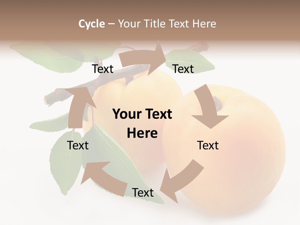 Apricot Group Vegetarian PowerPoint Template