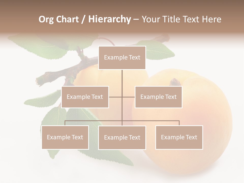 Apricot Group Vegetarian PowerPoint Template
