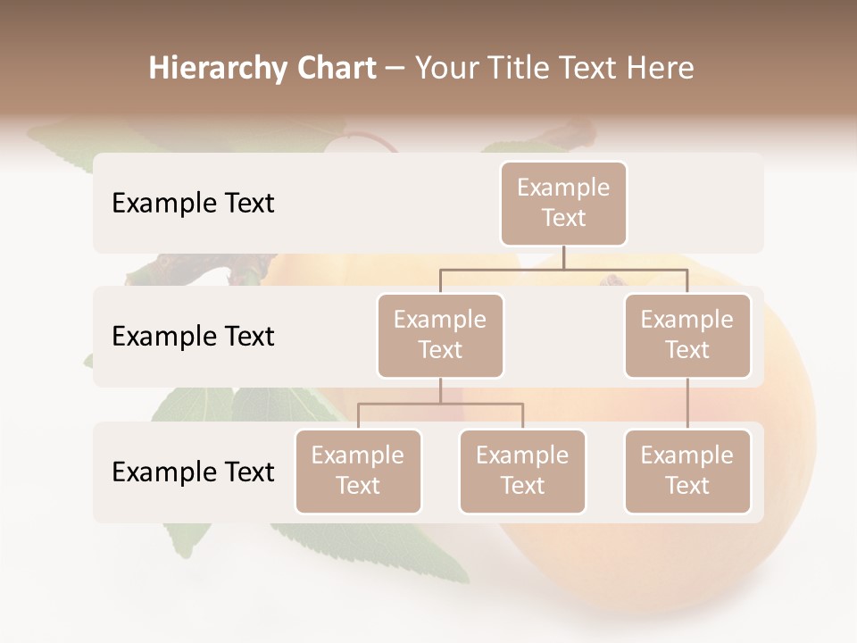 Apricot Group Vegetarian PowerPoint Template
