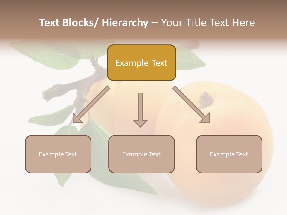 Apricot Group Vegetarian PowerPoint Template