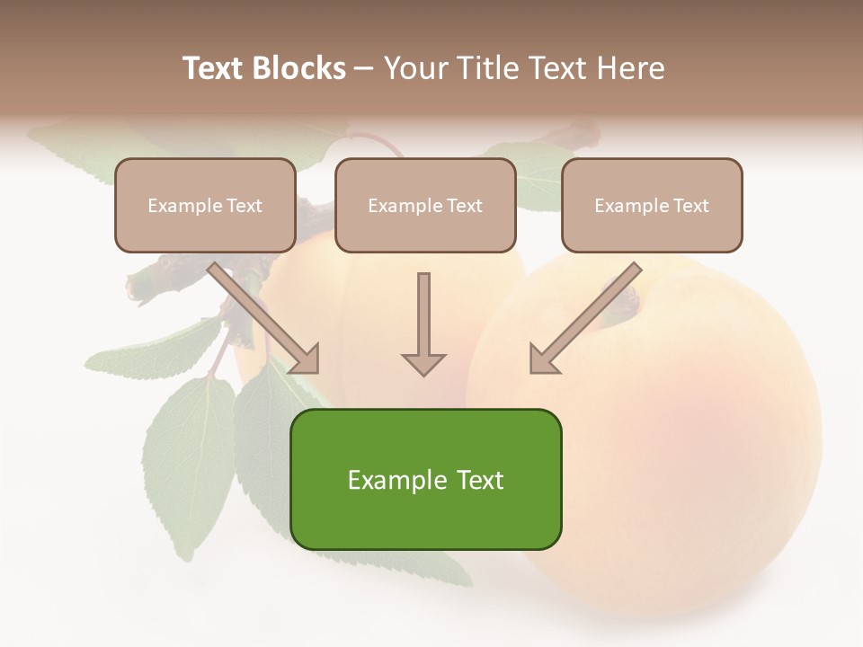 Apricot Group Vegetarian PowerPoint Template