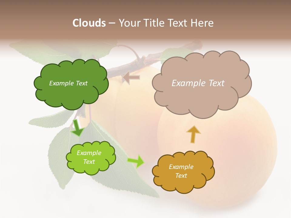 Apricot Group Vegetarian PowerPoint Template