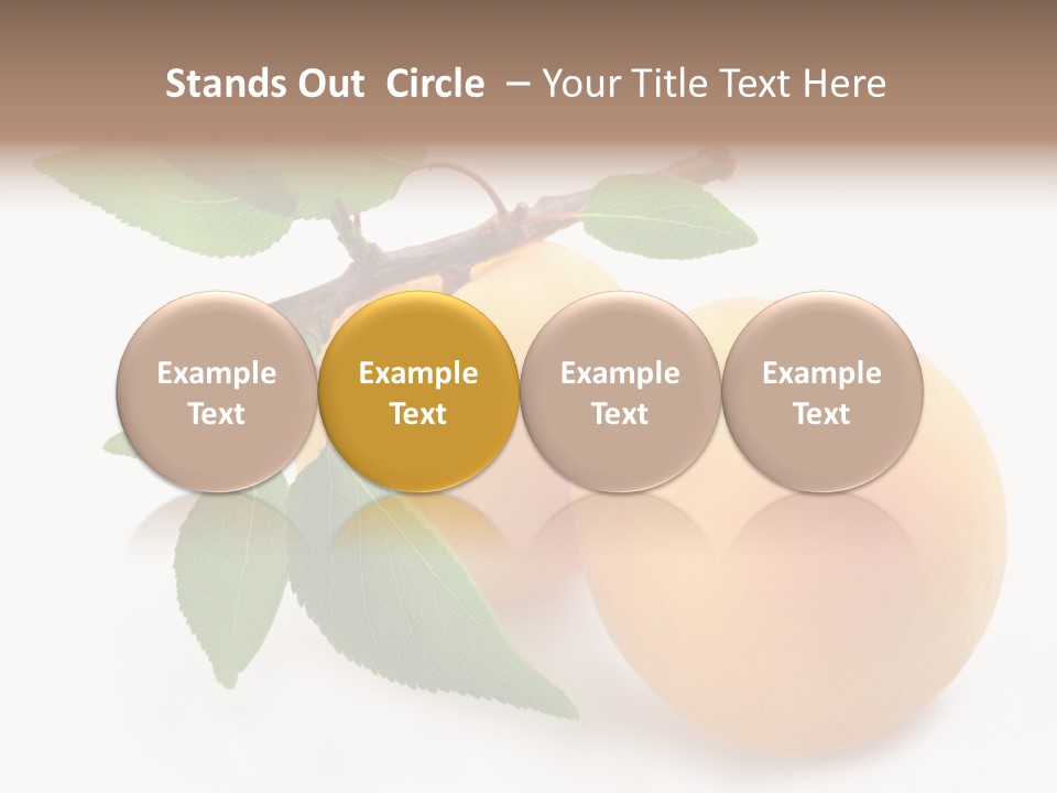 Apricot Group Vegetarian PowerPoint Template