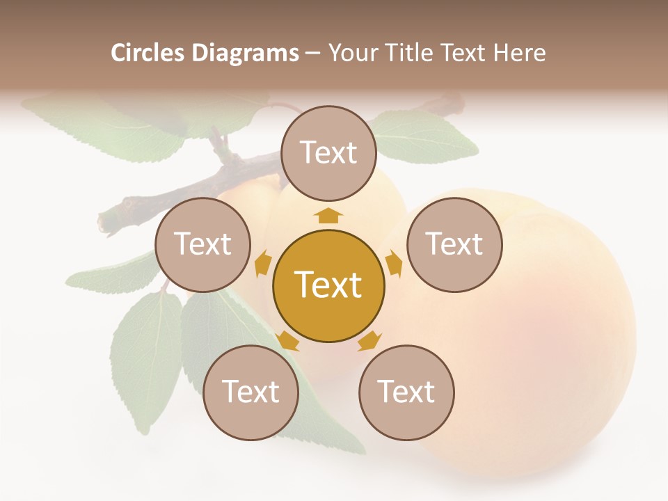 Apricot Group Vegetarian PowerPoint Template