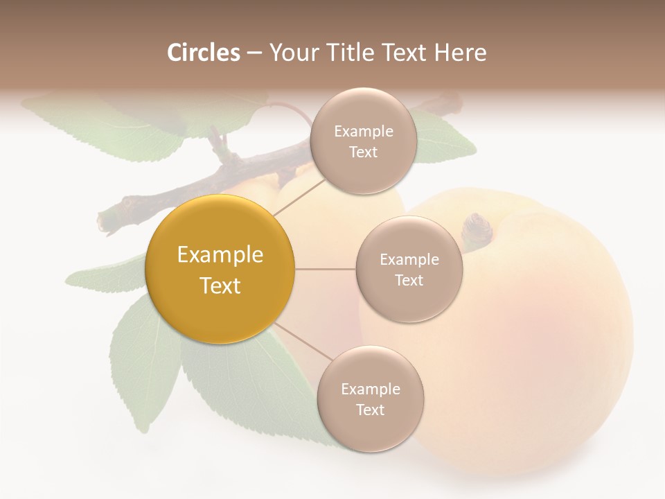 Apricot Group Vegetarian PowerPoint Template