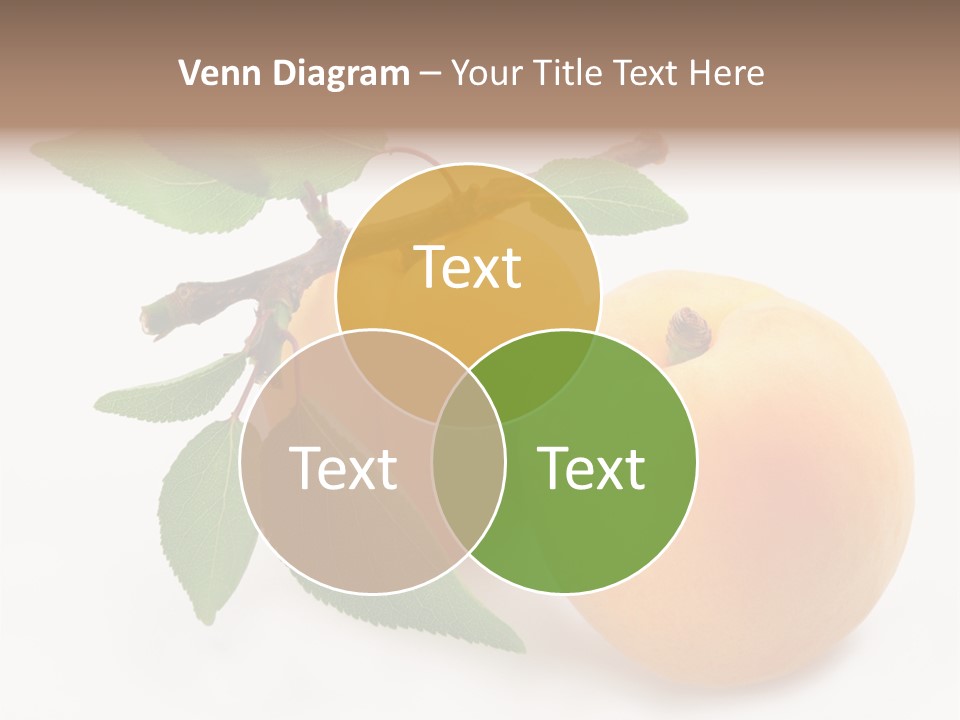Apricot Group Vegetarian PowerPoint Template