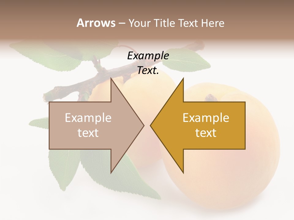 Apricot Group Vegetarian PowerPoint Template