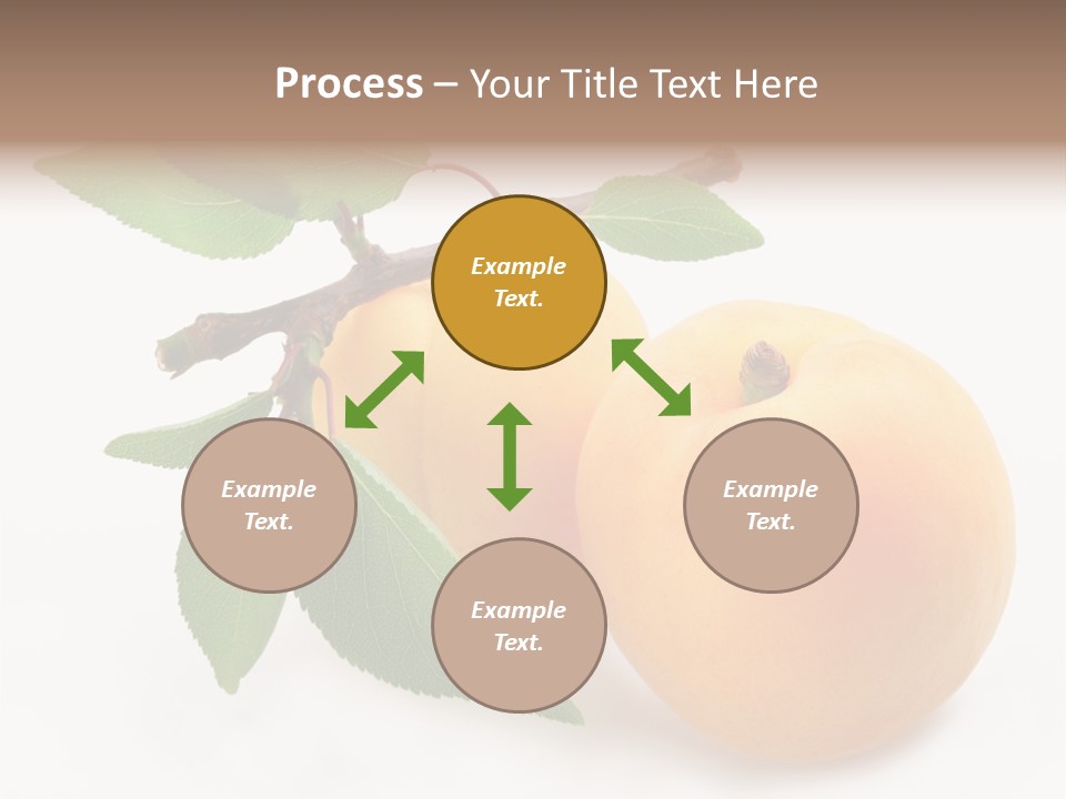 Apricot Group Vegetarian PowerPoint Template
