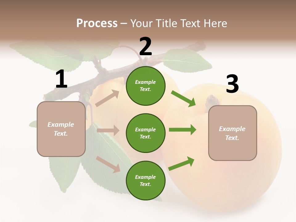 Apricot Group Vegetarian PowerPoint Template