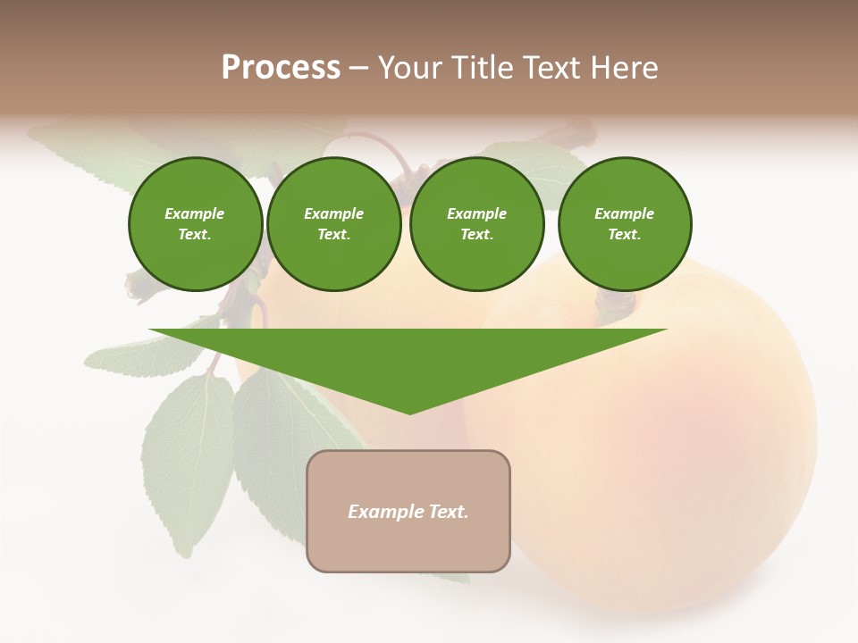 Apricot Group Vegetarian PowerPoint Template