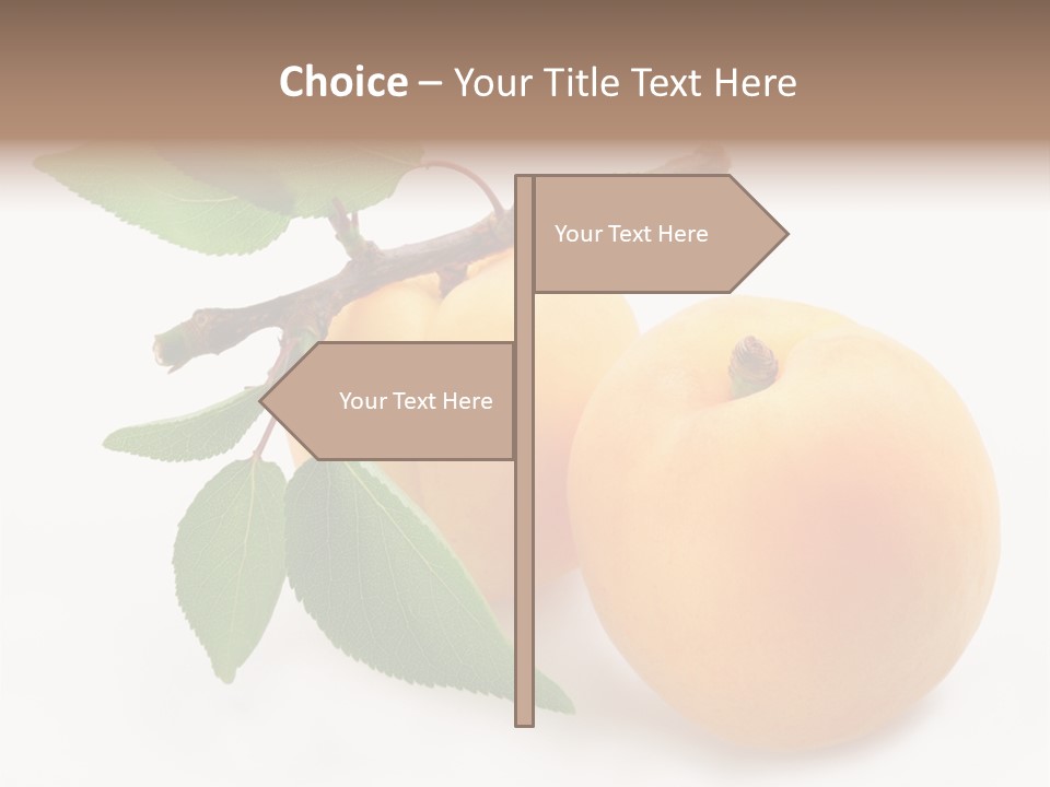 Apricot Group Vegetarian PowerPoint Template