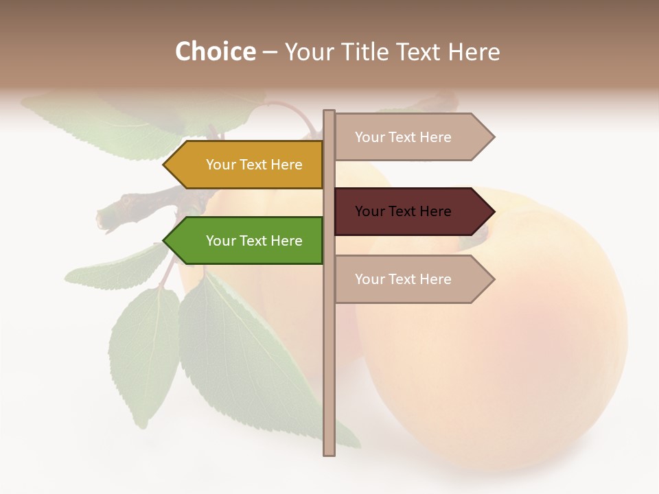 Apricot Group Vegetarian PowerPoint Template