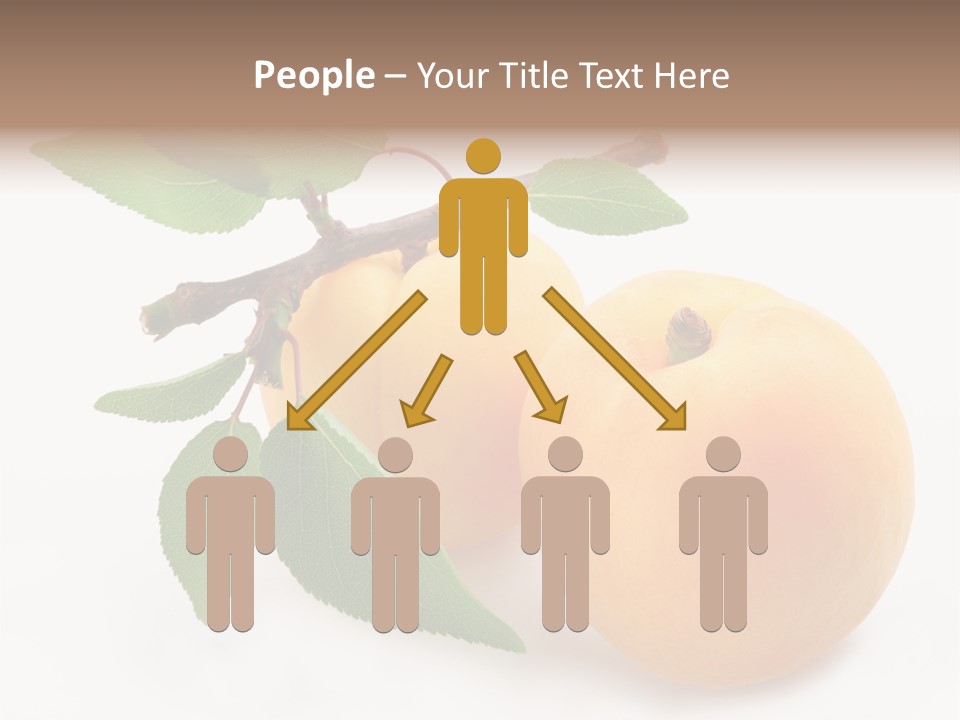 Apricot Group Vegetarian PowerPoint Template