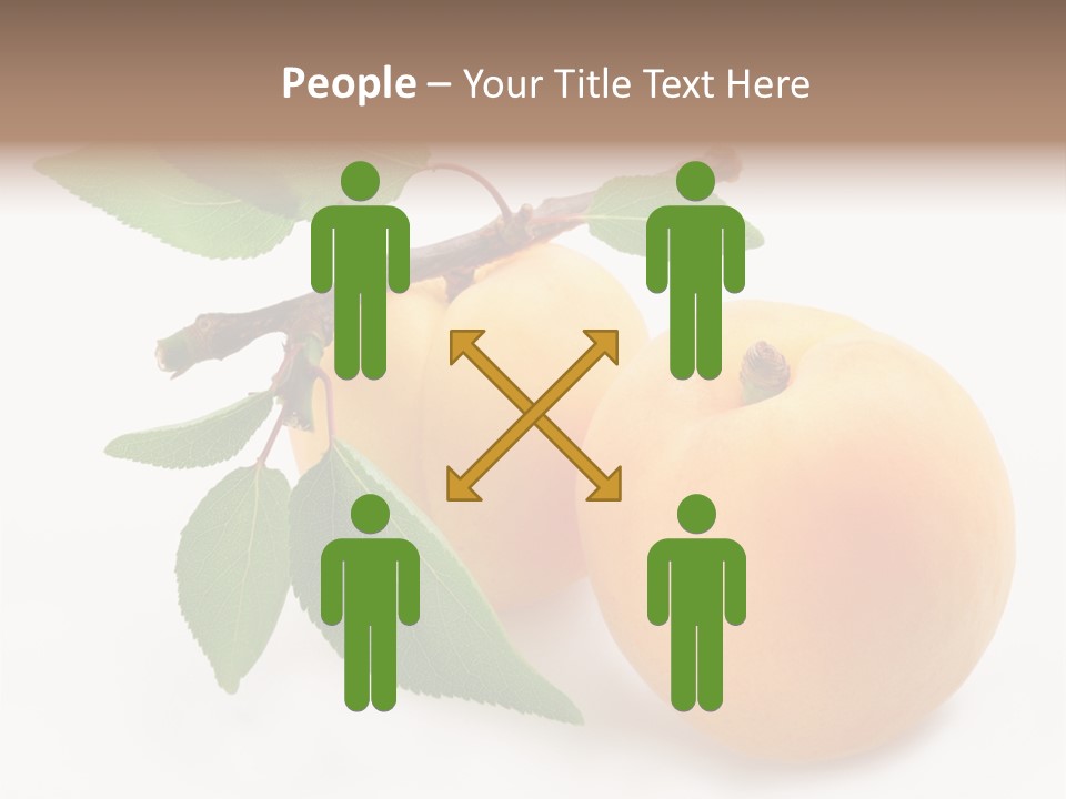 Apricot Group Vegetarian PowerPoint Template