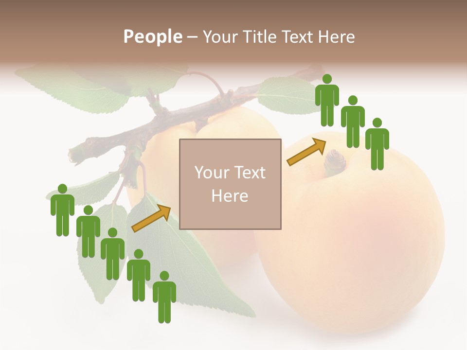 Apricot Group Vegetarian PowerPoint Template