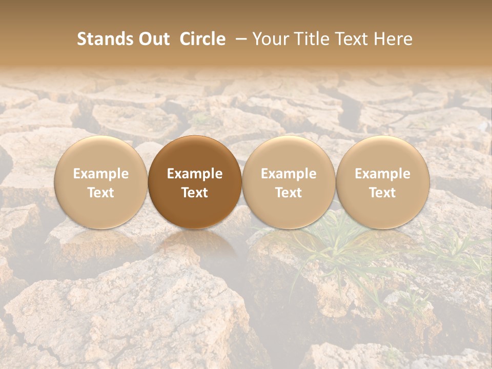 Detail Countryside Alone PowerPoint Template