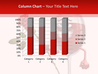 Woman Couple Evening PowerPoint Template