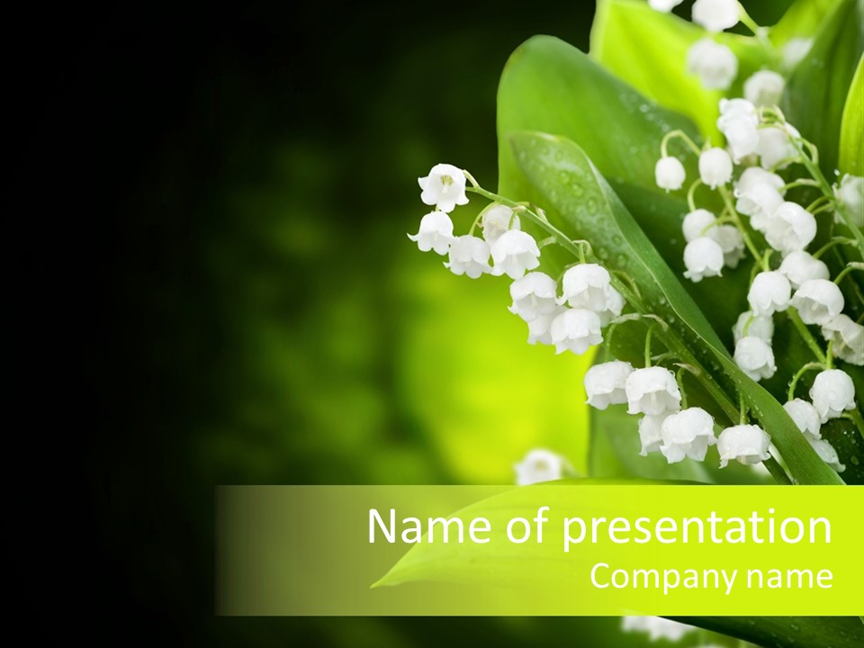 Plant White Green PowerPoint Template