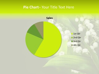 Plant White Green PowerPoint Template