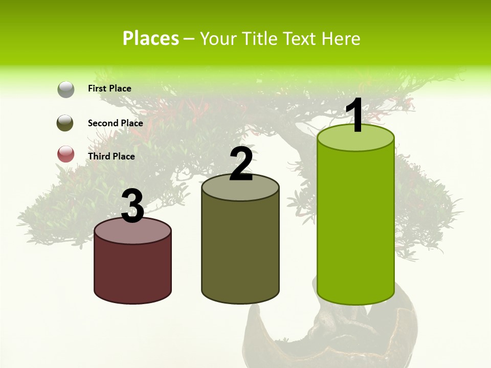 Bonsai Flower Release PowerPoint Template