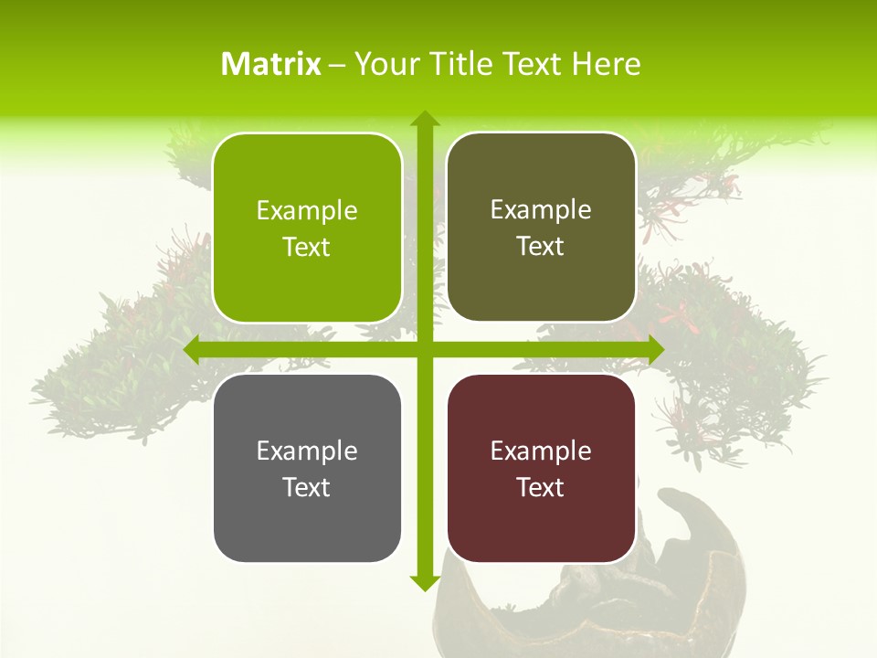 Bonsai Flower Release PowerPoint Template