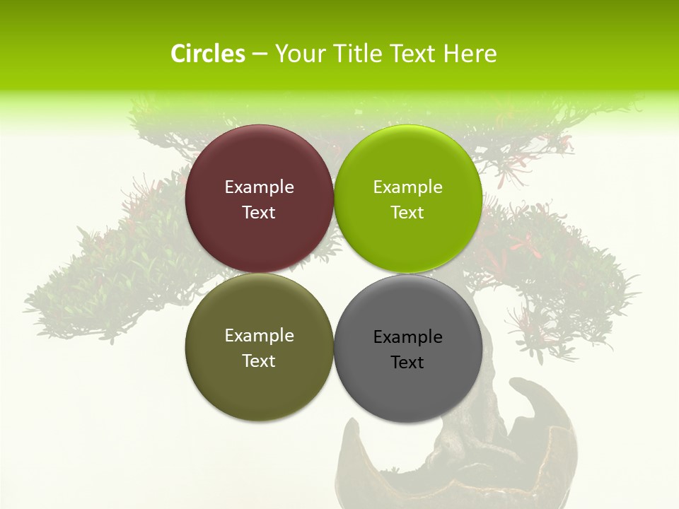 Bonsai Flower Release PowerPoint Template