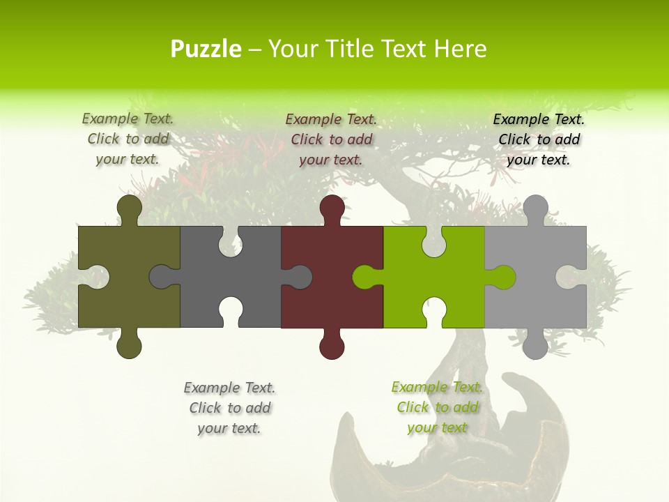 Bonsai Flower Release PowerPoint Template