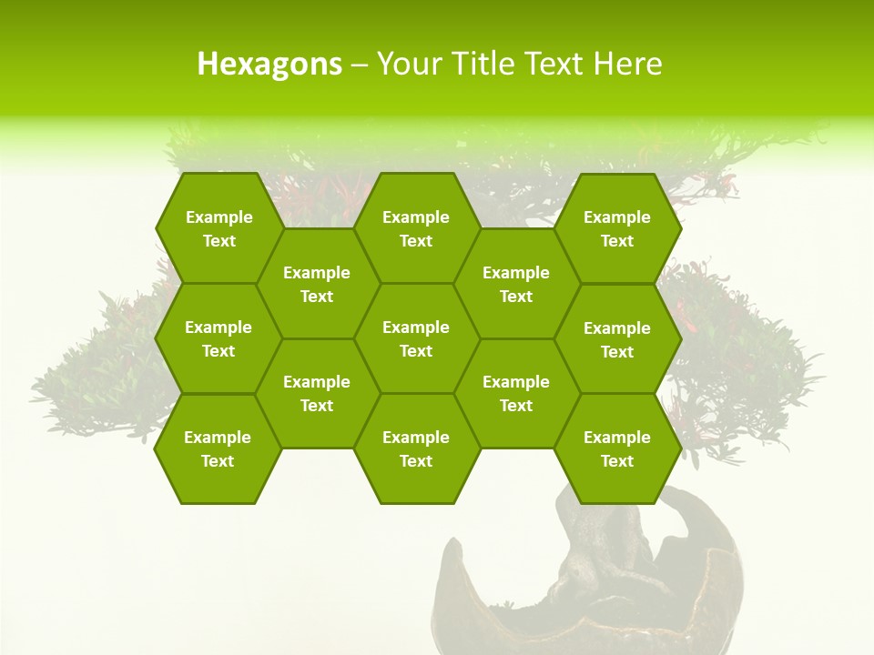 Bonsai Flower Release PowerPoint Template