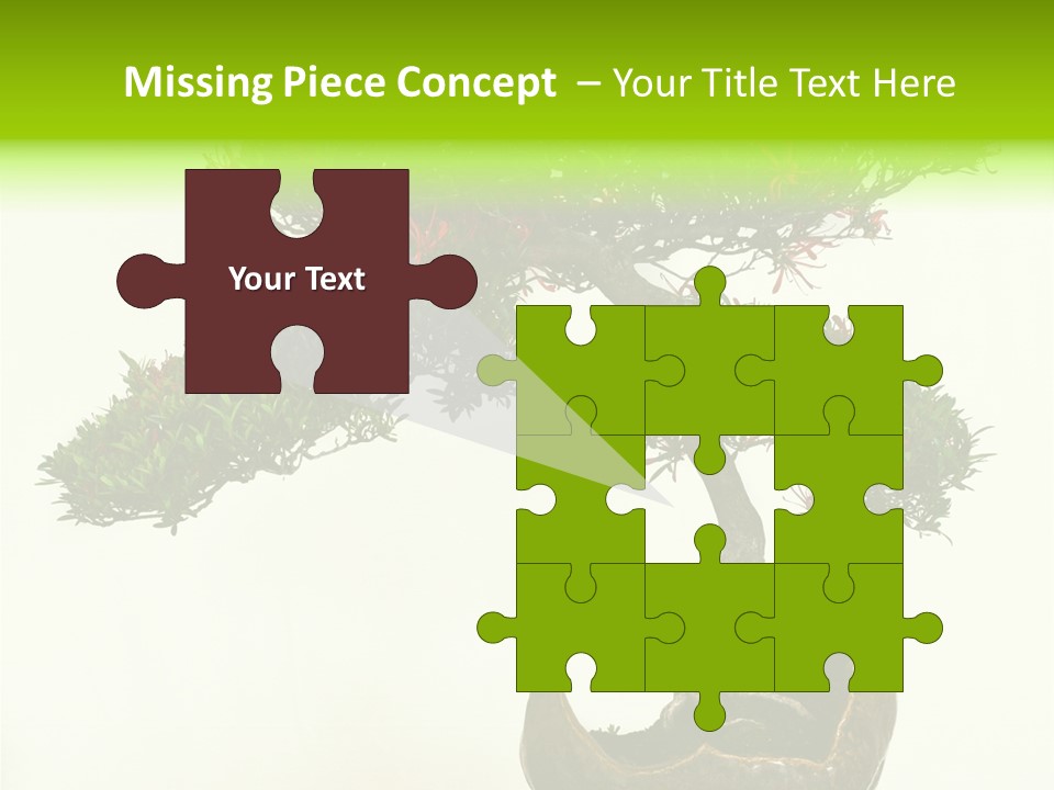 Bonsai Flower Release PowerPoint Template