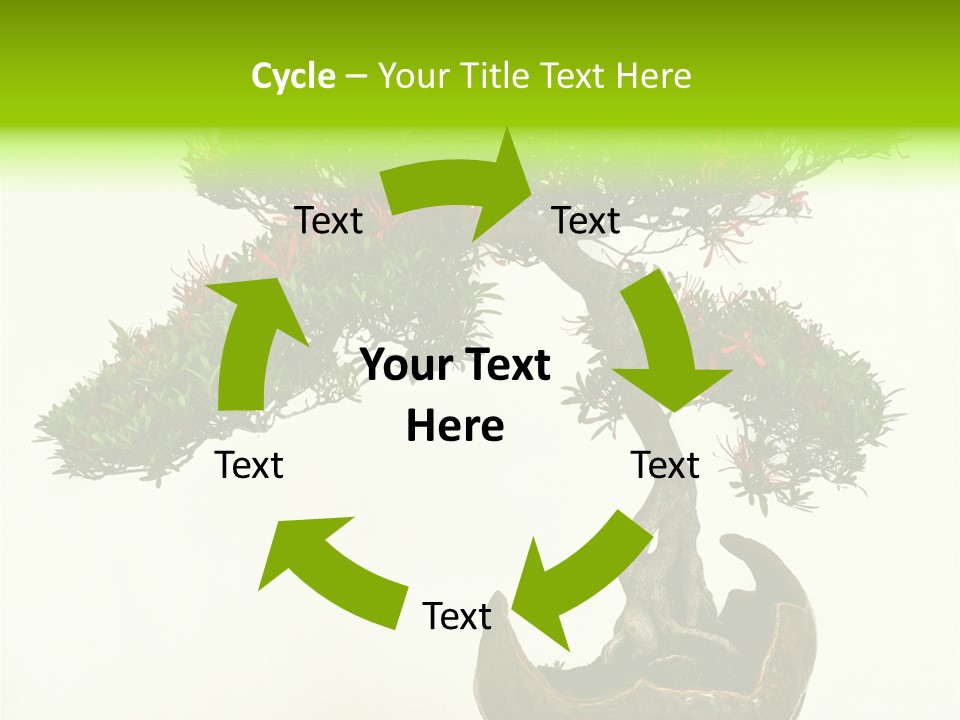 Bonsai Flower Release PowerPoint Template