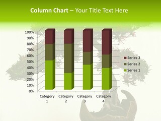 Bonsai Flower Release PowerPoint Template