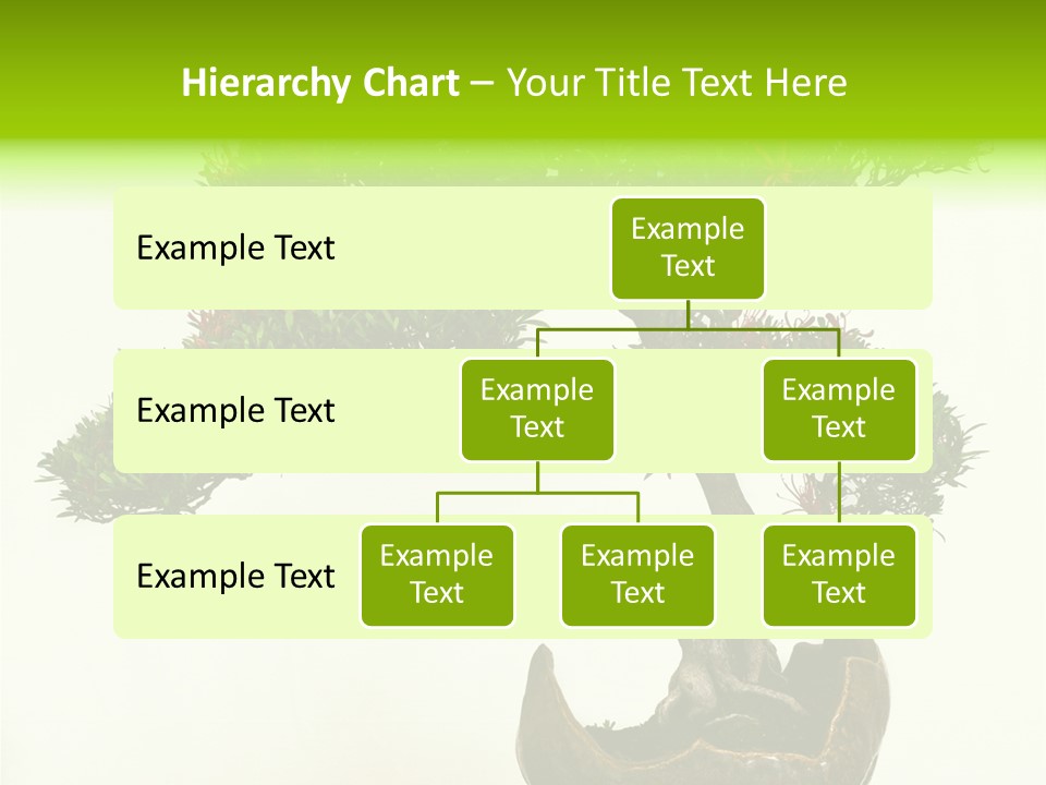Bonsai Flower Release PowerPoint Template