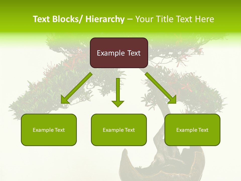 Bonsai Flower Release PowerPoint Template