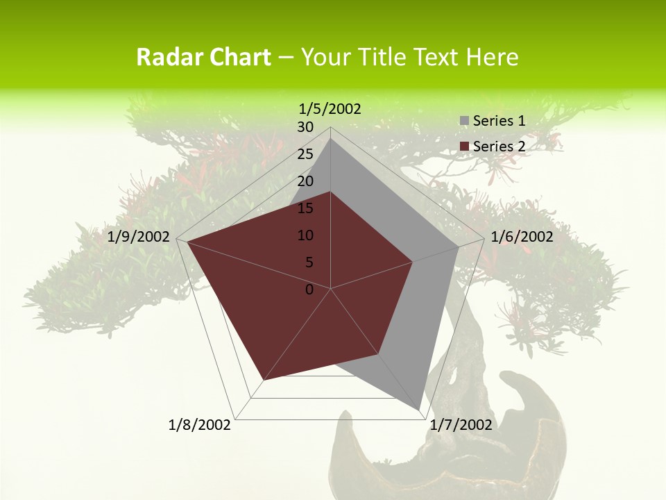 Bonsai Flower Release PowerPoint Template