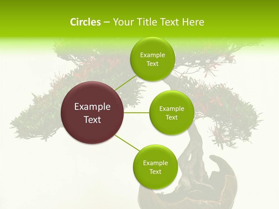 Bonsai Flower Release PowerPoint Template