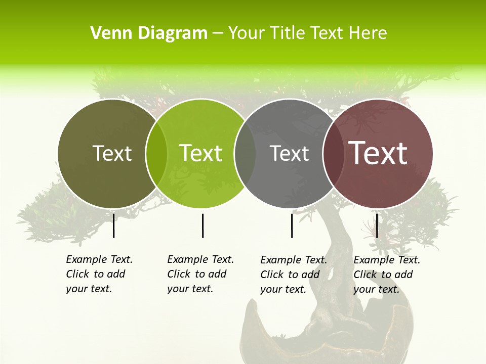 Bonsai Flower Release PowerPoint Template