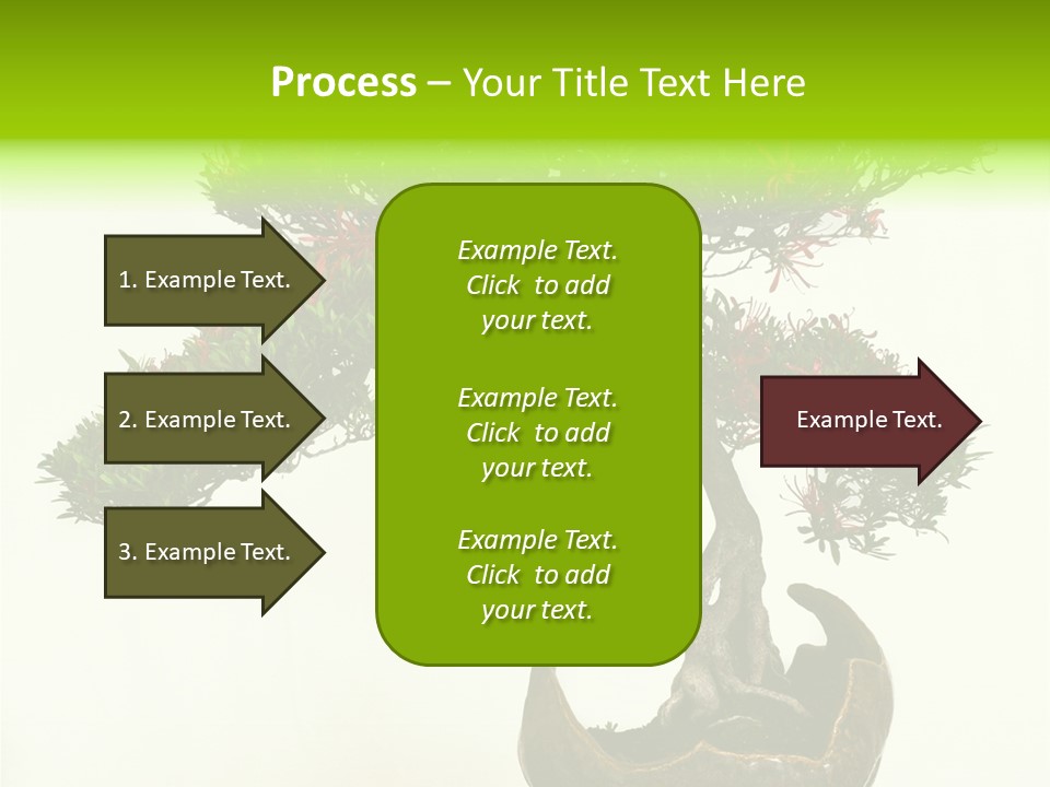 Bonsai Flower Release PowerPoint Template