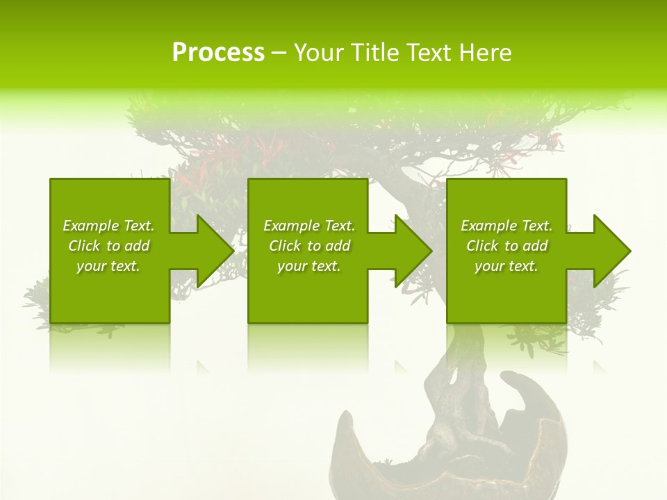 Bonsai Flower Release PowerPoint Template