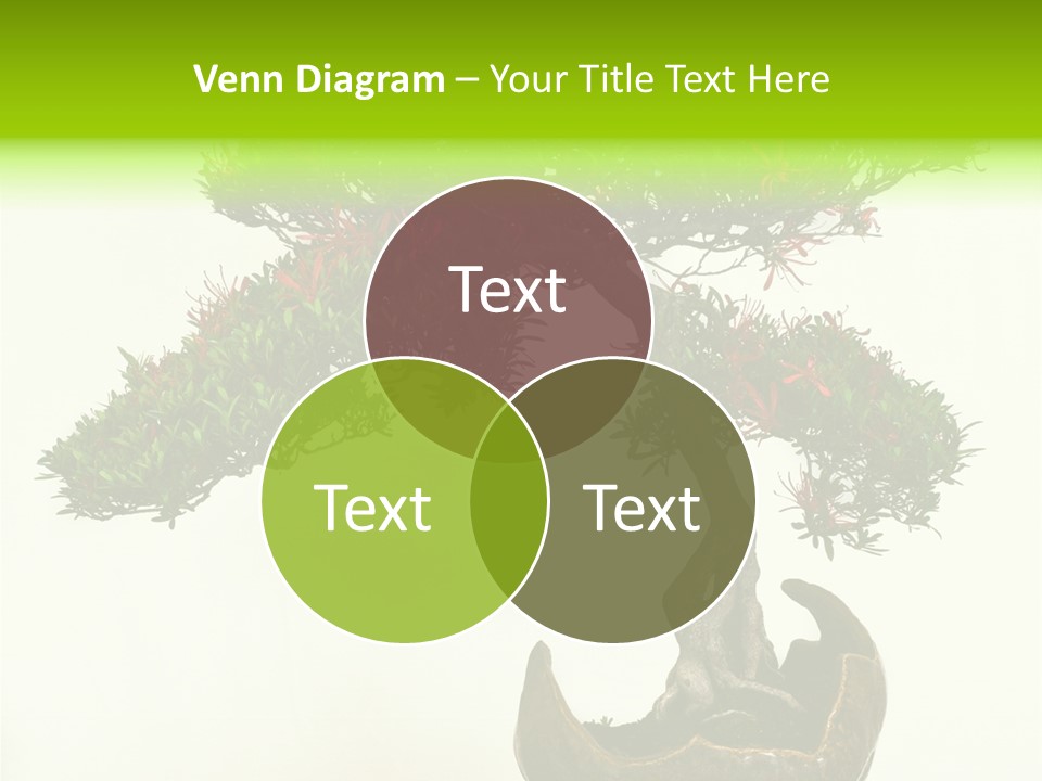 Bonsai Flower Release PowerPoint Template