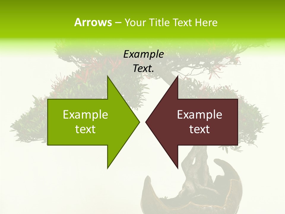 Bonsai Flower Release PowerPoint Template