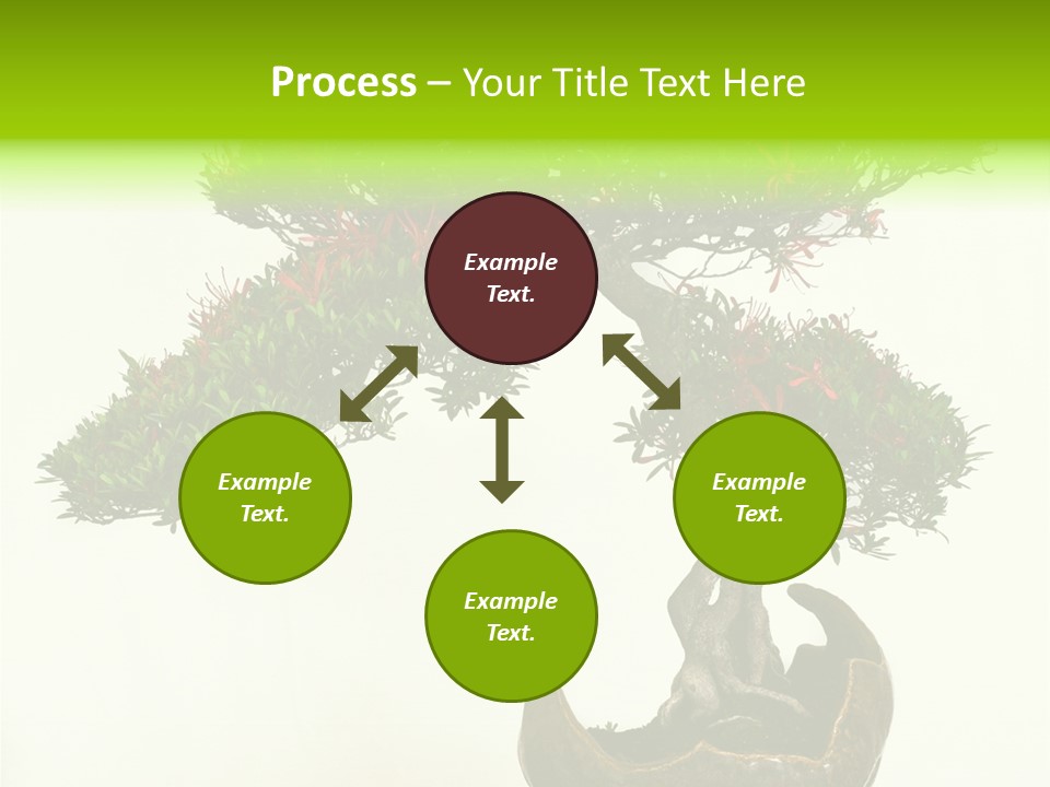 Bonsai Flower Release PowerPoint Template